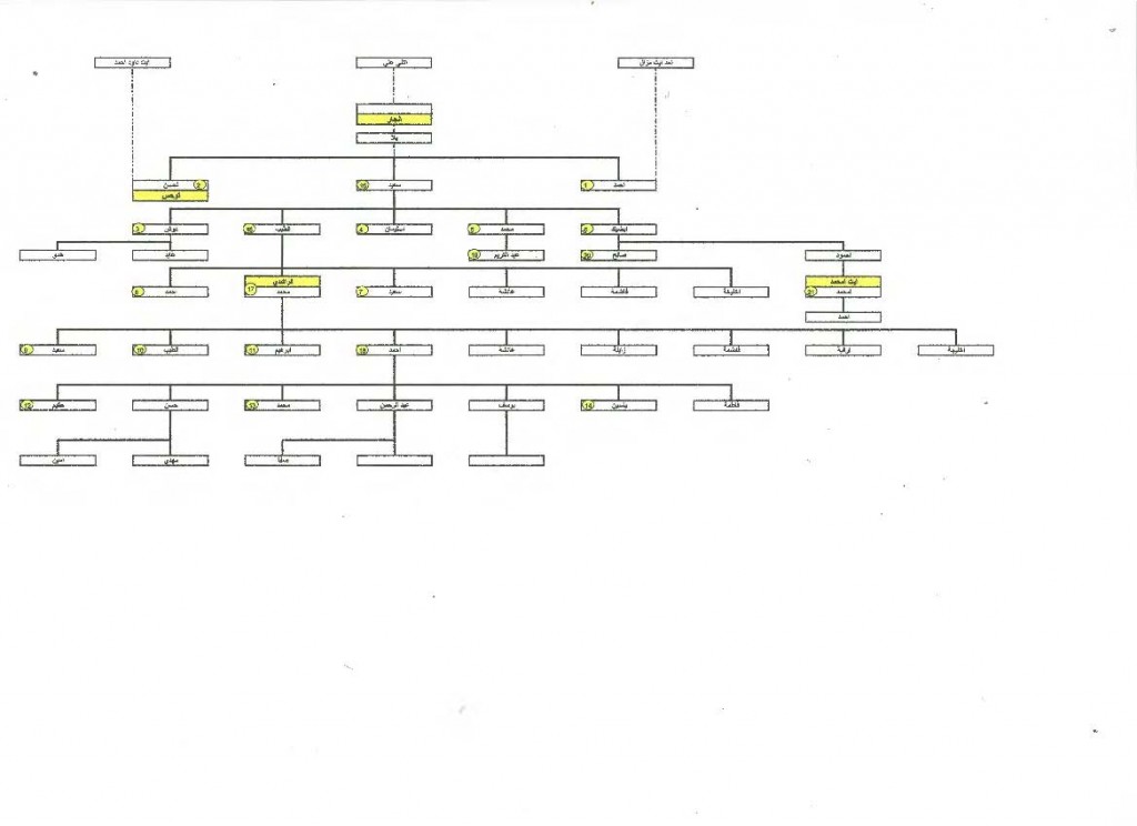 arbre ait anajar